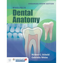 现货《韦尔费尔牙科解剖学（增强版）》第9版Woelfel's Dental Anatomy, Enhanced Edition: 9th Edition