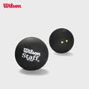威尔胜（Wilson）STAFF壁球橡胶训练比赛壁球配件多颗装 WRT617100-竞赛级超慢速球-1颗装