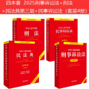 【2024年新版】刑法注释本+民法典注释本第三版+民事诉讼法+刑事诉讼法(套装4册) 刑法修正案