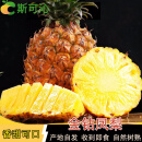 斯可沁海南金钻凤梨当季新鲜水果甜菠萝5斤装（净重4.5-5斤）