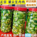 嘉凡雷新鲜即食灌云豆丹肉连云港野生现擀食用高蛋白豆丹肉冷冻批发豆丹 净肉豆丹2斤