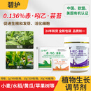 碧护0.136%赤·吲乙·芸苔德国进口蔬菜花卉植物生长调节剂50g*1瓶