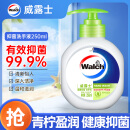 威露士健康抑菌洗手液250ml 青柠盈润泡沫丰富易冲洗护手 儿童学生