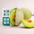 冰淇淋网纹瓜1kg