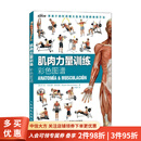 肌肉力量训练彩色图谱 里卡多·卡诺瓦斯·里内拉斯 著 养生保健