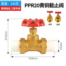 PPR截止阀双活接黄铜PPR闸阀4分20自来水管热熔6分25阀门开关1寸 PPR活接截止阀DN20(4分)