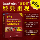 JavaScript高级程序设计（第5版）（图灵出品）