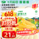 十月稻田 23年新玉米 鲜食黄糯玉米 2.2kg(220g*10) 东北黄甜糯 杂粮礼盒