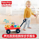 费雪（Fisher-Price）三合一露营主题学步车皮皮收纳手推车蹦跳乐园安全防侧翻宝宝 声光皮皮收纳学步手推车