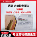 SMVP【冰邮速运】狗狗冠状病毒犬瘟细小单抗血清治疗药物套餐狗瘟宠物 铁草犬瘟蛋白一盒