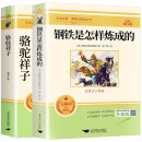 骆驼祥子 钢铁是怎样炼成的（全2册）新课标 初中七年级下册 初一适用人民教育出版社人教版教材配套正版阅读课外阅读 语文教科书配套书目阅读名著课程化丛书老舍原著完整版无删减