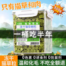 小古世猫草粒冻干猫咪化毛球猫零食饼干猫草棒磨牙洁齿猫咪增肥猫咪用品 冻干猫草粒500g/塑封桶