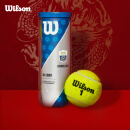 Wilson威尔胜大师赛通用网球比赛3只一罐【球面数字随机】 WR8208802001