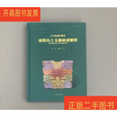 [二手9成新] 古玉痕迹学鉴定 南阳出土玉器痕迹解析