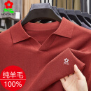 梦特娇（MONTAGUT）羊毛衫男士polo领长袖t恤春秋潮款时尚上衣 锈红棕 M 165 建议120斤内