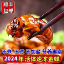 妮姬知了猴新鲜 2024年金蝉生鲜 活体蝉蛹冷冻爬叉猴蚱结了龟油炸生鲜 精选大号金蝉100只【顺丰快递】