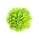 【水果菜】有机意大利生菜250g