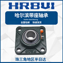 外球面轴承带座UCF201 202 203 F204F205F206F207 208 209 210 UCF206[内径30]