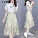 FEISIMI法式连衣裙女装衣服夏天小个子显瘦套装两件套裙子女夏季2025新款 图片色 L