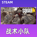 Steam 战术小队 Squad  CDK 正版国区KEY 战术小队 标准版：游戏本体