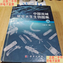 [二手9成新]中国流域常见水生生物图集 上册 /王业耀