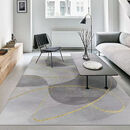 叙闲轻奢客厅地毯地垫茶几垫子卧室客厅地毯家用进门防滑垫大面积地毯 轻奢-03 200*300厘米