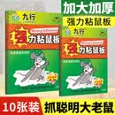 九行（JIUHANG）大号老鼠粘强力粘鼠板抓大老鼠贴夹扑捉灭鼠胶沾神室内家用捕鼠器 10张装