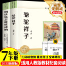 骆驼祥子 钢铁是怎样炼成的（全2册）七年级下册必读课外书目（新课标）初中必读名著四川教育出版社 适用人教版人民教育出版社初一语文教材配套阅读 老舍原著无障碍学生无删减完整版