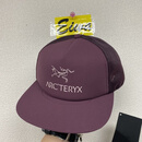 始祖鸟（ARC’TERYX）春夏帽子 中性男女同款均码帽子 Small bird hat 均码 【-不支持退换】Logo trucker fb
