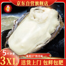 蜀皇乳山生蚝鲜活特大牡蛎海蛎子带壳生蚝肉贝类海鲜5斤3XL(12-18)只
