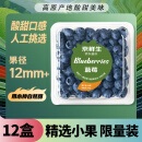 京鲜生 云南蓝莓 12盒装 果径12mm+ 新鲜水果 源头直发包邮
