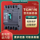 天正电气（TENGEN）TGM1N 塑壳断路器总闸开关100A125A250A400A63 TGM1N-1250L/33001000A