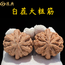 浪典平谷大粗筋核桃八筋聚鼎狮子头把玩老树枝头平谷元宝文玩龟甲 八筋聚鼎大粗筋48-50mm