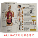 A4大本倪海厦人纪针灸大成笔记黄帝内经笔记彩色图文版字画教材 A4针灸图文笔记（彩色66页） 倪海厦版