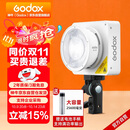 神牛（Godox）ML100Bi摄影灯双色温可调便携夜拍灯人像补光灯户外控制室电影视频摄像灯  ML100Bi【官方标配】
