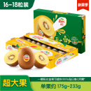 佳沛（zespri）新西兰阳光金奇异果16-18粒原箱单果重约175-233g水果猕猴桃