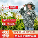 干农活玉米地干活帽子防护帽防虫防迷眼防刮脸掰玉米防刮脸衣服  五星款