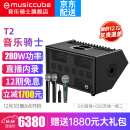 音乐骑士T2户外乐器音响网红街头路演吉他电吹管萨克斯弹唱k歌乐器直播蓝牙便携音箱 标配+双无线话筒+音响支架+包