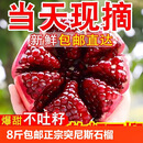 石榴新鲜水果包邮当季突尼斯软籽特大果云南蒙自红心无籽整箱10斤 5斤