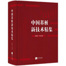 中国基桩新技术精集