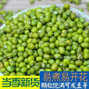 特产优联东北农家小绿豆新货农家自产绿豆500g发芽绿豆汤五谷杂粮粗 1000g绿豆(可发芽)