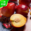 京鲜生 山东红油桃 净重3斤 单果70g+ 生鲜水果 源头直发