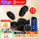 同仁堂品牌北京同仁堂黑桑葚干桑椹干500g即食免洗桑葚水果泡水养生茶