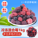 水果兄弟 冷冻混合莓果新鲜速冻草莓树莓蓝莓黑莓混合浆果烘焙商用原料1kg 冷冻混合莓1kg