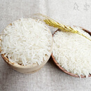 食芳溢广东韶关正宗马坝油粘米新米象牙米丝苗软香美香粘不抛光农家大米 30斤(不打蜡)