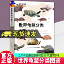 世界龟鳖分类图鉴(精) 梁亮 乔轶伦 编著 龟鳖科普知识龟类科普知识龟鳖类动物分类基础知识  中国农业出版社9787109309616 科学与自然书籍