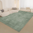 VRF客厅地垫可擦洗满铺大面积色轻奢加绒加厚茶几毯现代简约床边隔凉 灰绿遐想 240x350厘米