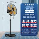 朗雄电器家用落地扇大风力电风扇工业换气扇大风力大功率静音风扇 170W18寸加厚铝叶5档