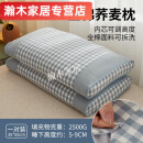 芍萌（SHAOMENG）枕头荞麦 棉壳枕芯家用一对皮枕芯整头学生宿舍 荞麦枕-浅蓝35*55cm【一对】