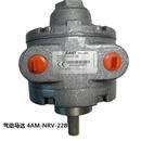 GAST 气动马达 4AM-NRV-22B 单位：个